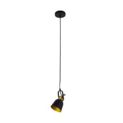Lámpara de suspender RAN I - 1 luz E27 - Acabado negro mate / interior dorado