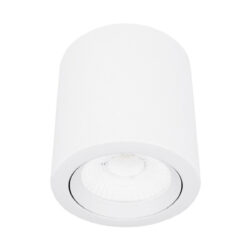 Cilindro de sobreponer LED dirigible - 10W - Acabado blanco - Luz cálida