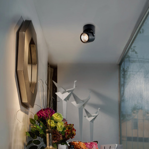 Reflector de sobreponer dirigible LED - 10W - Acabado negro - Luz cálida 4 Reflector de sobreponer dirigible LED - 10W - Acabado negro - Luz cálida - Imagen 4