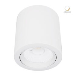 Cilindro de sobreponer LED dirigible - 20W - Acabado blanco - Luz cálida