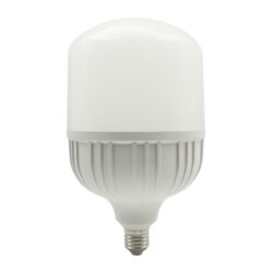 Bombillo LED de alta potencia - 50W - luz fría