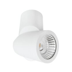 Cilindro de sobreponer LED dirigible - 6.5W - Acabado blanco - Luz cálida
