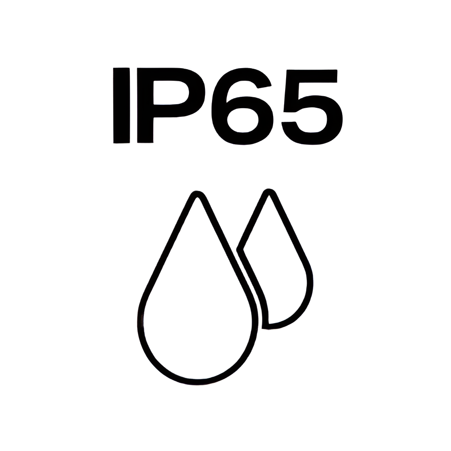 IP65 logo