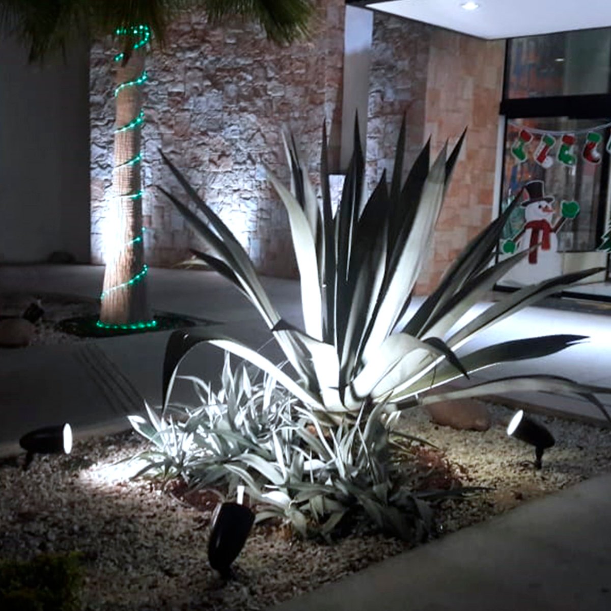 Reflector LED PAR20 - 9W - Luz Fria 4 Reflector LED PAR20 - 9W - Luz Fria - Imagen 4