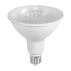 Reflector LED PAR38 - 18W - Luz fría