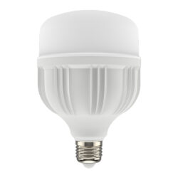 Bombillo LED de alta potencia - 30W - luz fría