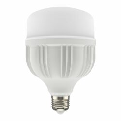 Bombillo LED de alta potencia - 40W - luz fría