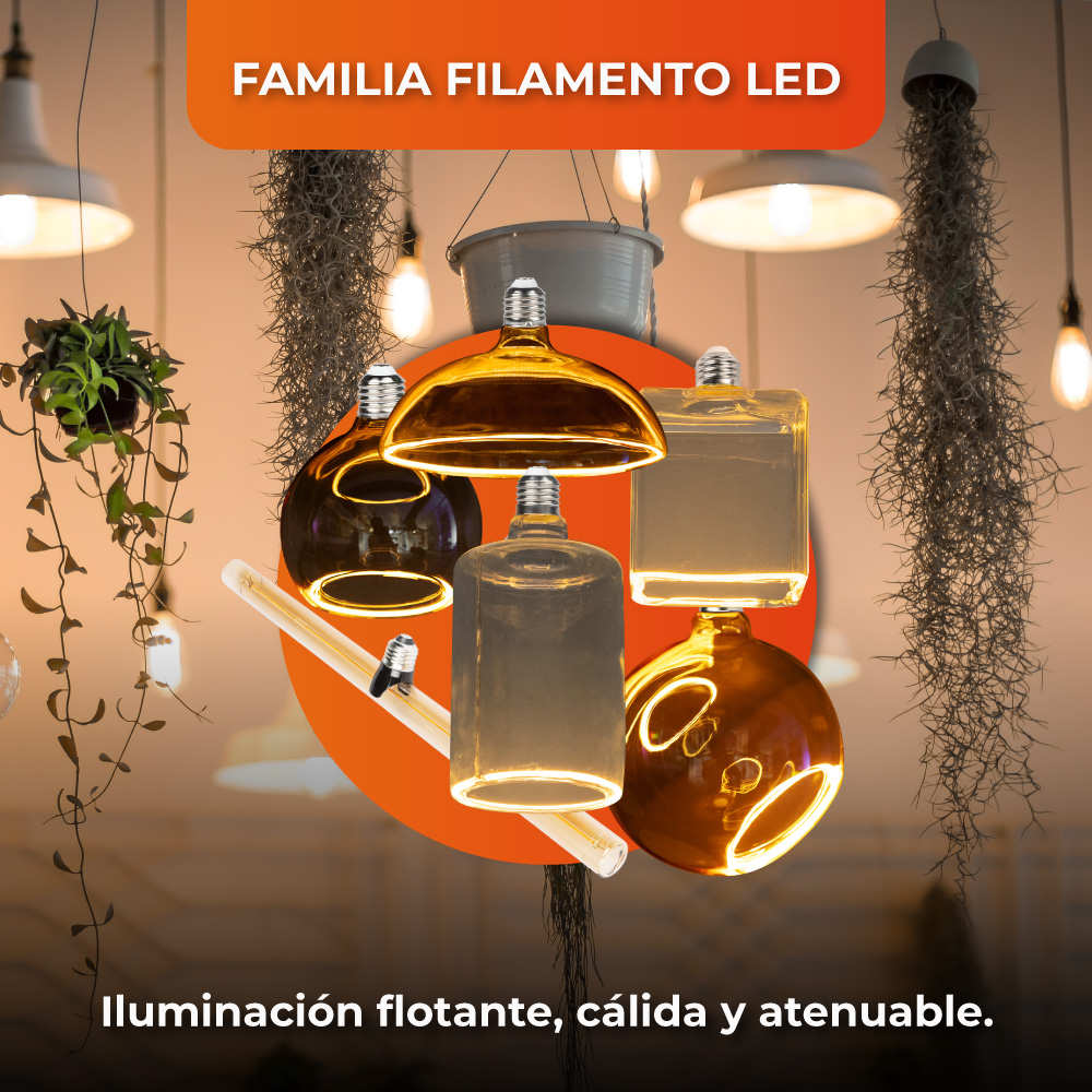 Bombilla LED Globo Filamento - 6W - luz ámbar 8 Bombilla LED Globo Filamento - 6W - luz ámbar - Imagen 8