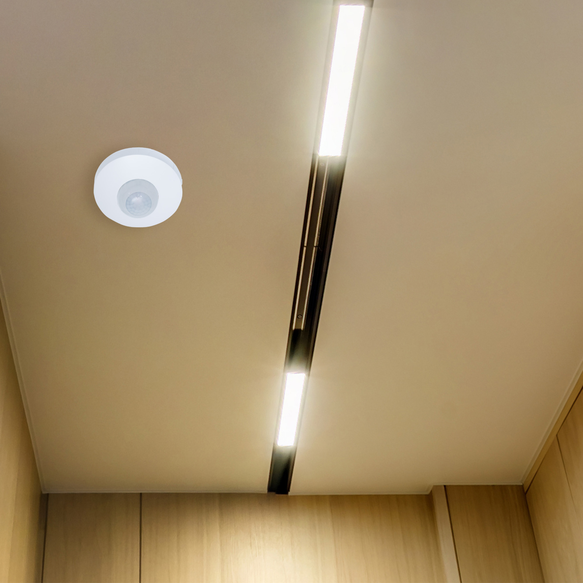 Sensor de movimiento infrarrojo - Montaje en cielo o pared 3 Sensor de movimiento infrarrojo - Montaje en cielo o pared - Imagen 3